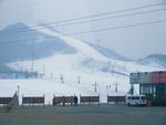P1291560