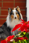 image0015
