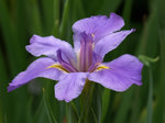 P4170864