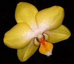 P5012598