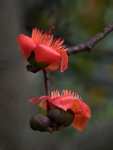 P3160807