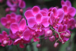 2008_0328_142236