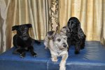 Image00264