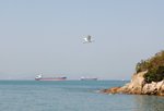 _MG_6632
