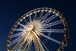 IMG_7375