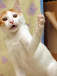 aIMG_2855