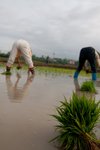 IMG_8754