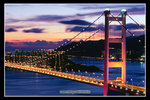 �C��2008_30