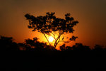 Leo_IMG_1663es