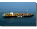 mscalessia