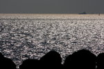 IMG_9820
