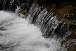 IMG_1136