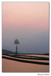 img10d_2974