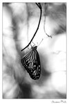 img10d_5353b