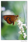 img10d_5092