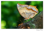 img10c_1679