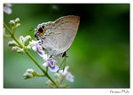 img10d_5373