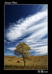 img5d2_3630