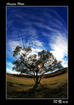 img5d2_3653