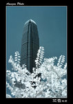 img10r_5621