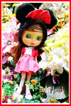 <style type=