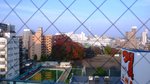 P1160859