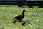 IMG_1919