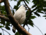 070911_HKP_resize_006