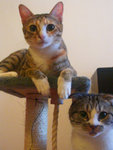 DSCN0474