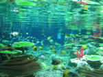 PICT0233