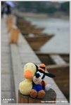 IMG_8156