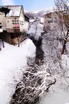 IMG_7251
