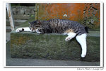 IMG_7322_2b