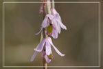 11-04-11FY???6