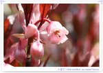 �Q���0803011_s