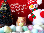 
�D�D@Christmas2002
