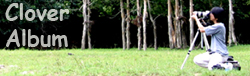 http://www.fotop.net/clover