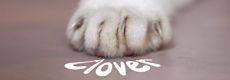 http://www.fotop.net/clover