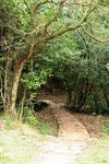 IMG_7242