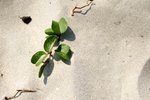 SaiKung07Nov_04