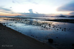 DSC_3844LS2