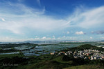 DSC_3825LS1