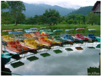 DSC03387