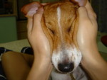 DSC00507