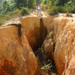 DSC_2682 SQ