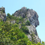 P1030192 SQ