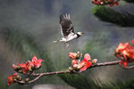IMG_3599a