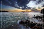 IMG_7883a
