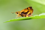 aIMG_5095