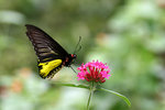 aIMG_7038
